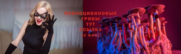 твердый Заволжье