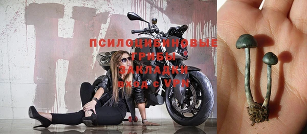 ПСИЛОЦИБИНОВЫЕ ГРИБЫ Абаза