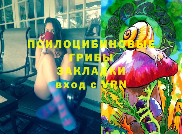 соль ск Сатка