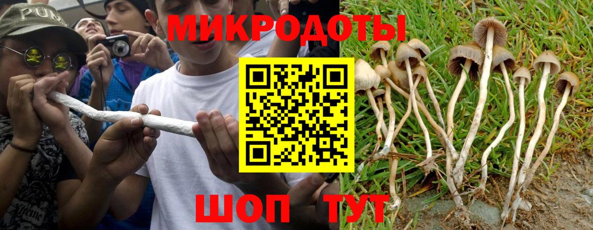 Псилоцибиновые грибы Cubensis  Вход с VPN  Елизово 